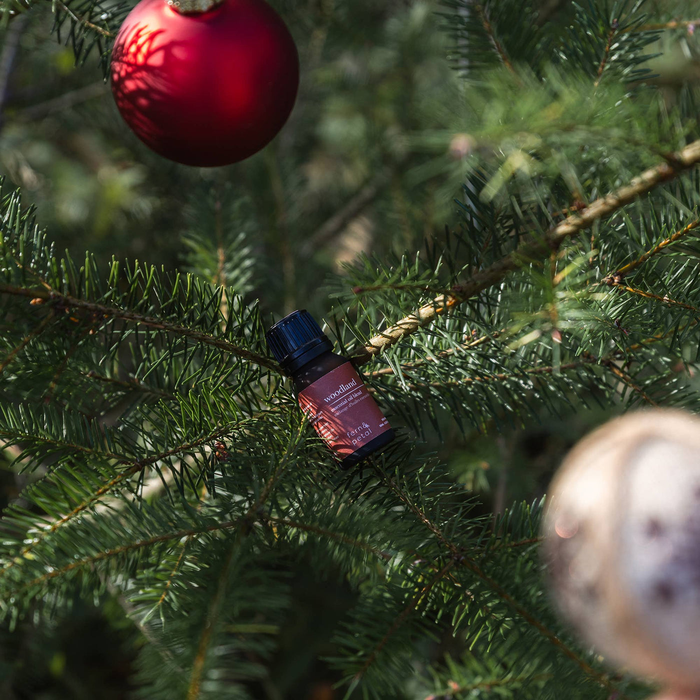 Essential Oil Blend - Woodland