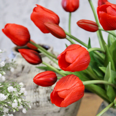 Red Tulip Bundle (7 stems)