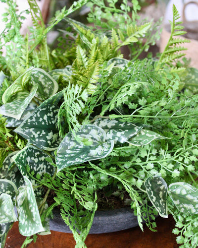 Mixed Fern & Pictus Centrepiece