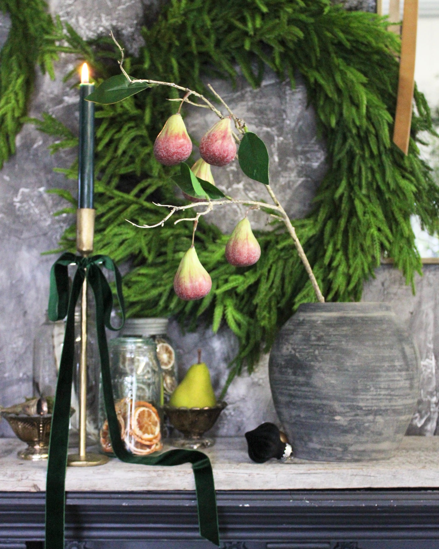 Fig Branch