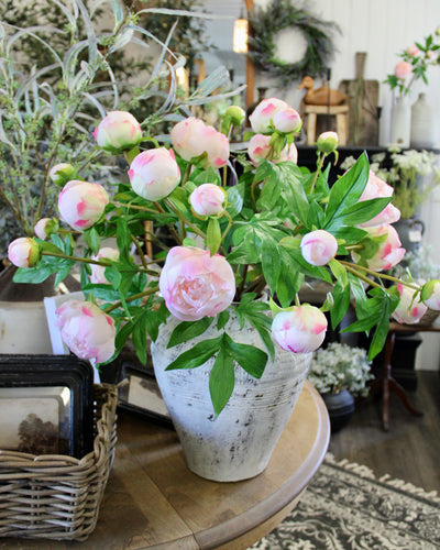 Blush Peony Bud Spray