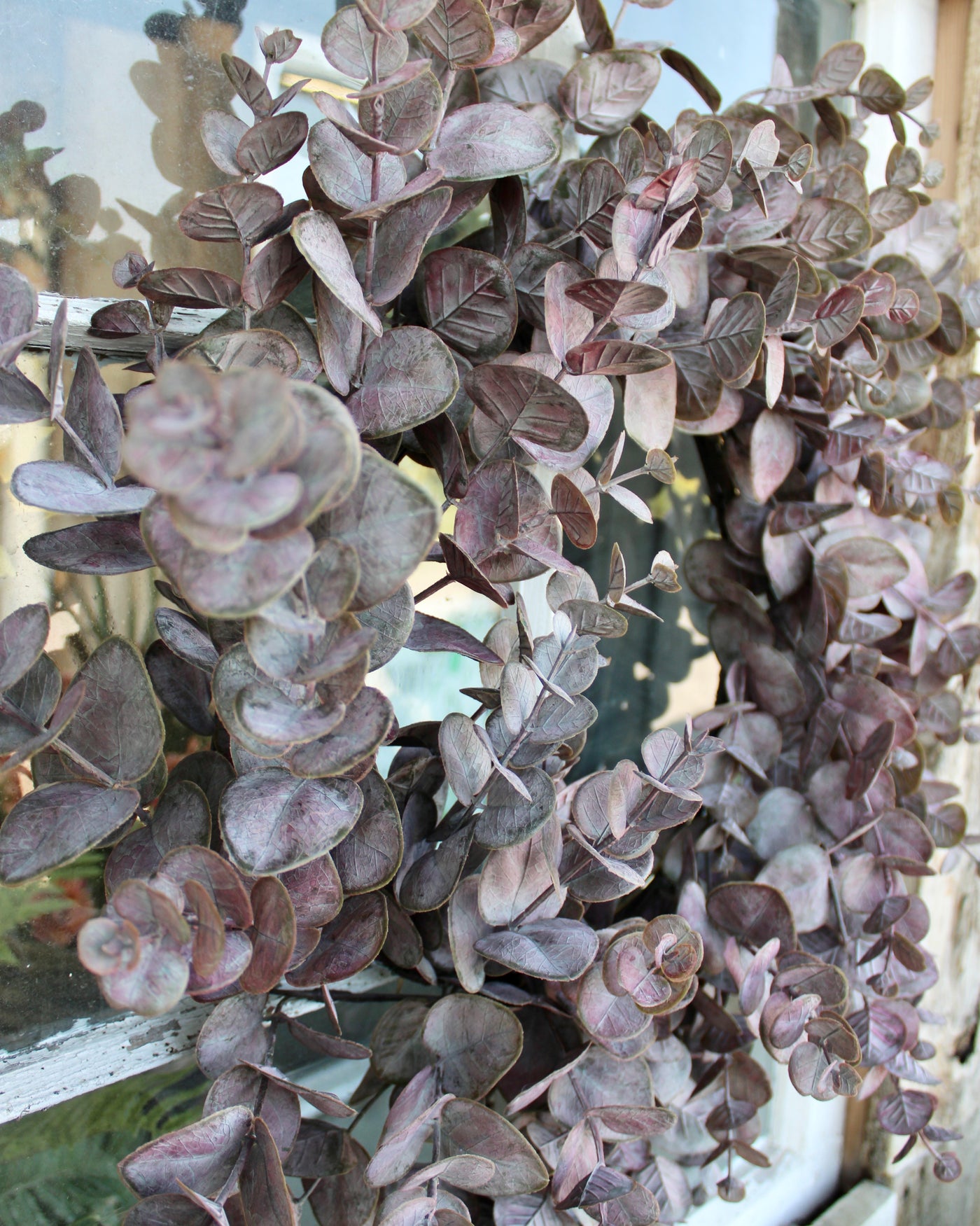 Burgundy Eucalyptus Wreath