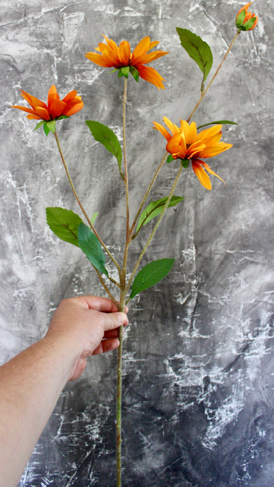 Rudbeckia Stem