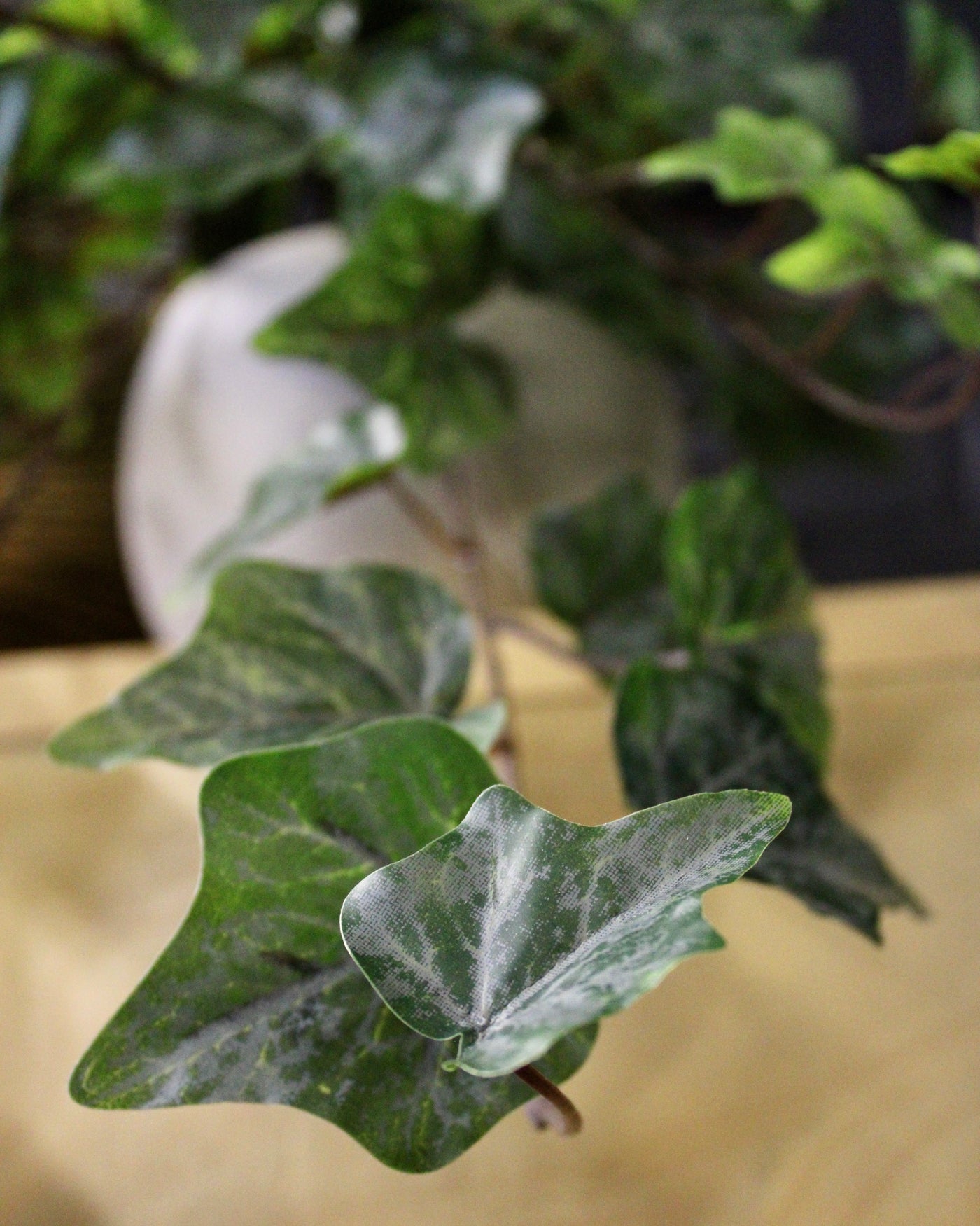 Potted Frosted Ivy Vine