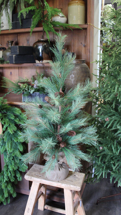 36” Southern Pine Tree