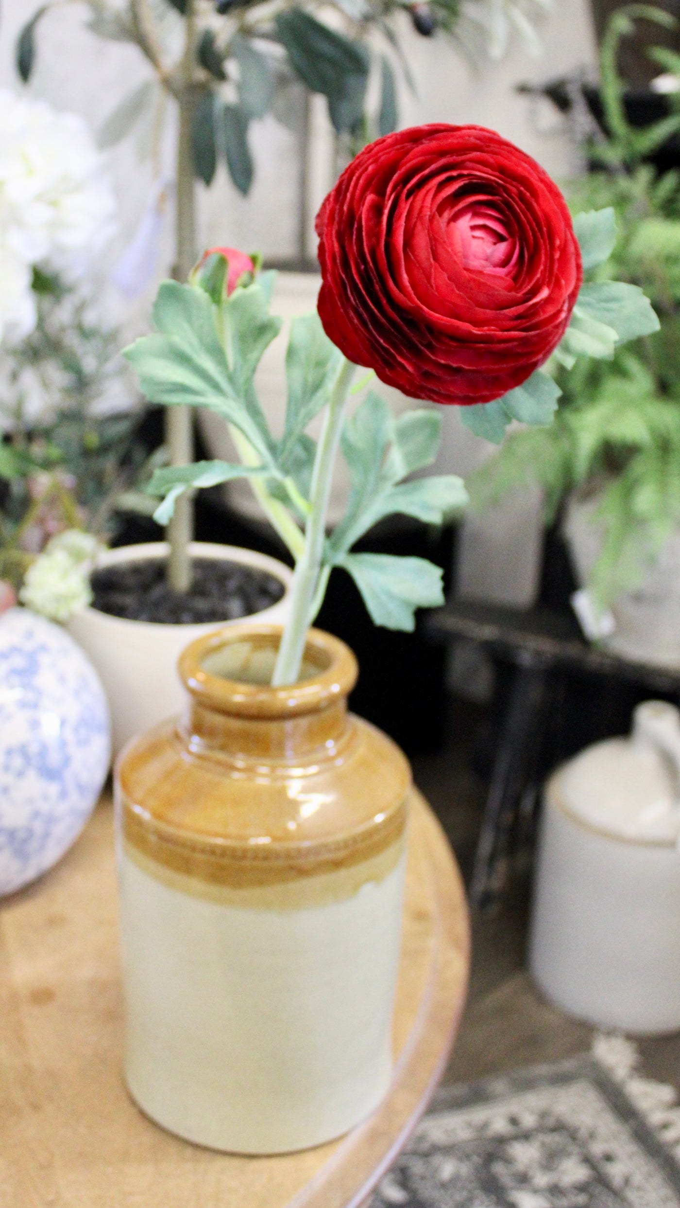 Deep Red Ranunculus Stem