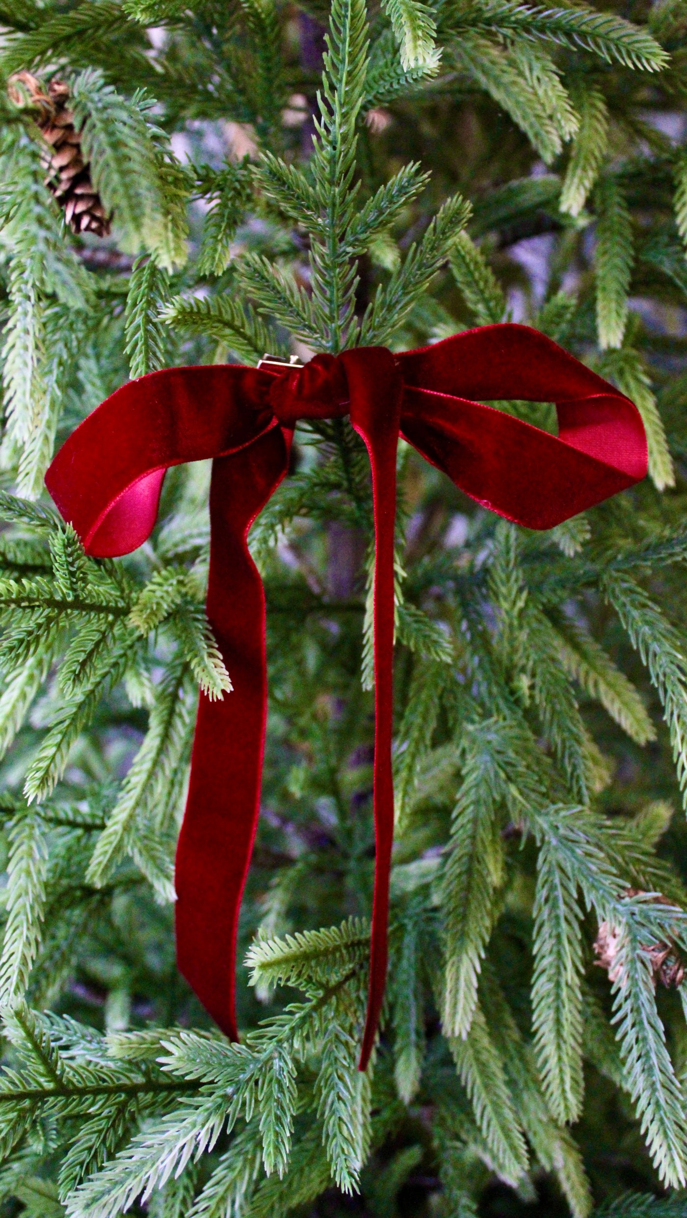 1” Velvet Ribbon Bows - 10” Long