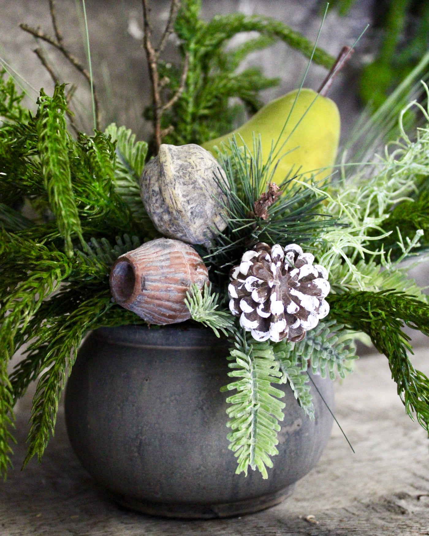 Potted Pine & Pear Arrangement