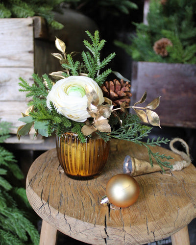 Potted Cream Ranunculus Mini Arrangement