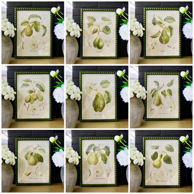 Framed Pear Prints