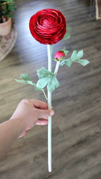 Deep Red Ranunculus Stem