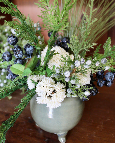 Potted Cedar & Blueberry Arrangement