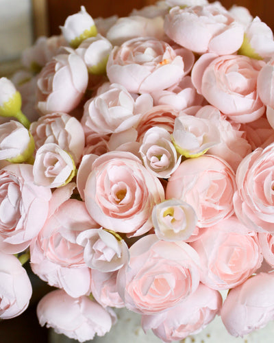 Blush Ranunculus Bundle