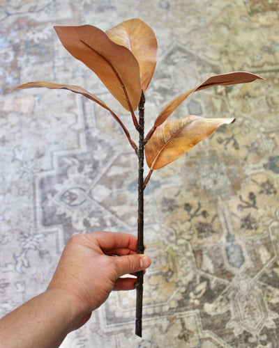 Brown Magnolia Spray