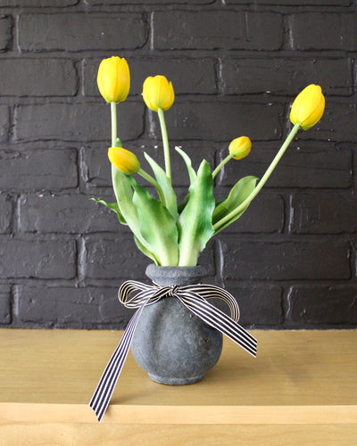 Potted Tulips