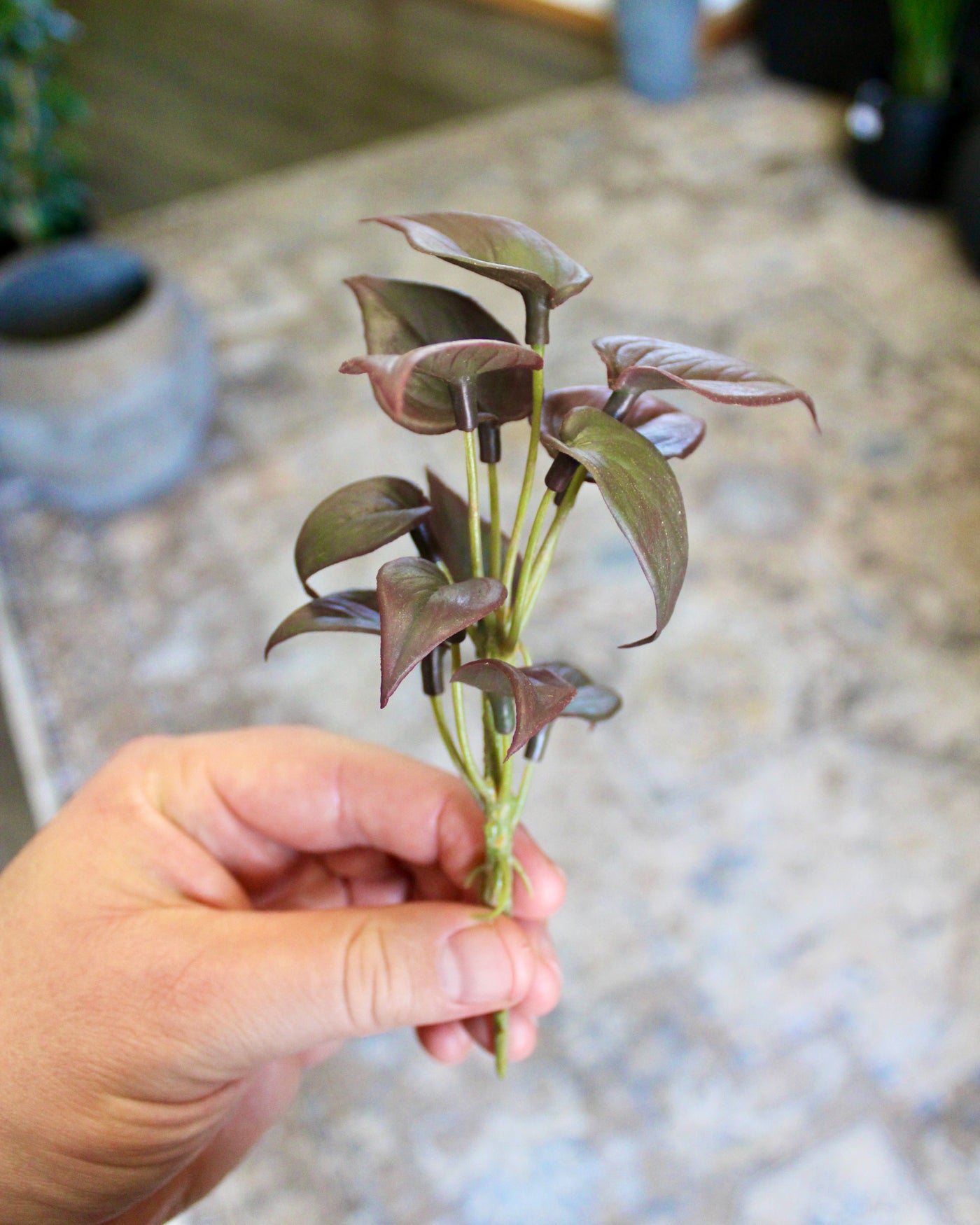 Mini Burgundy Philo Sprig