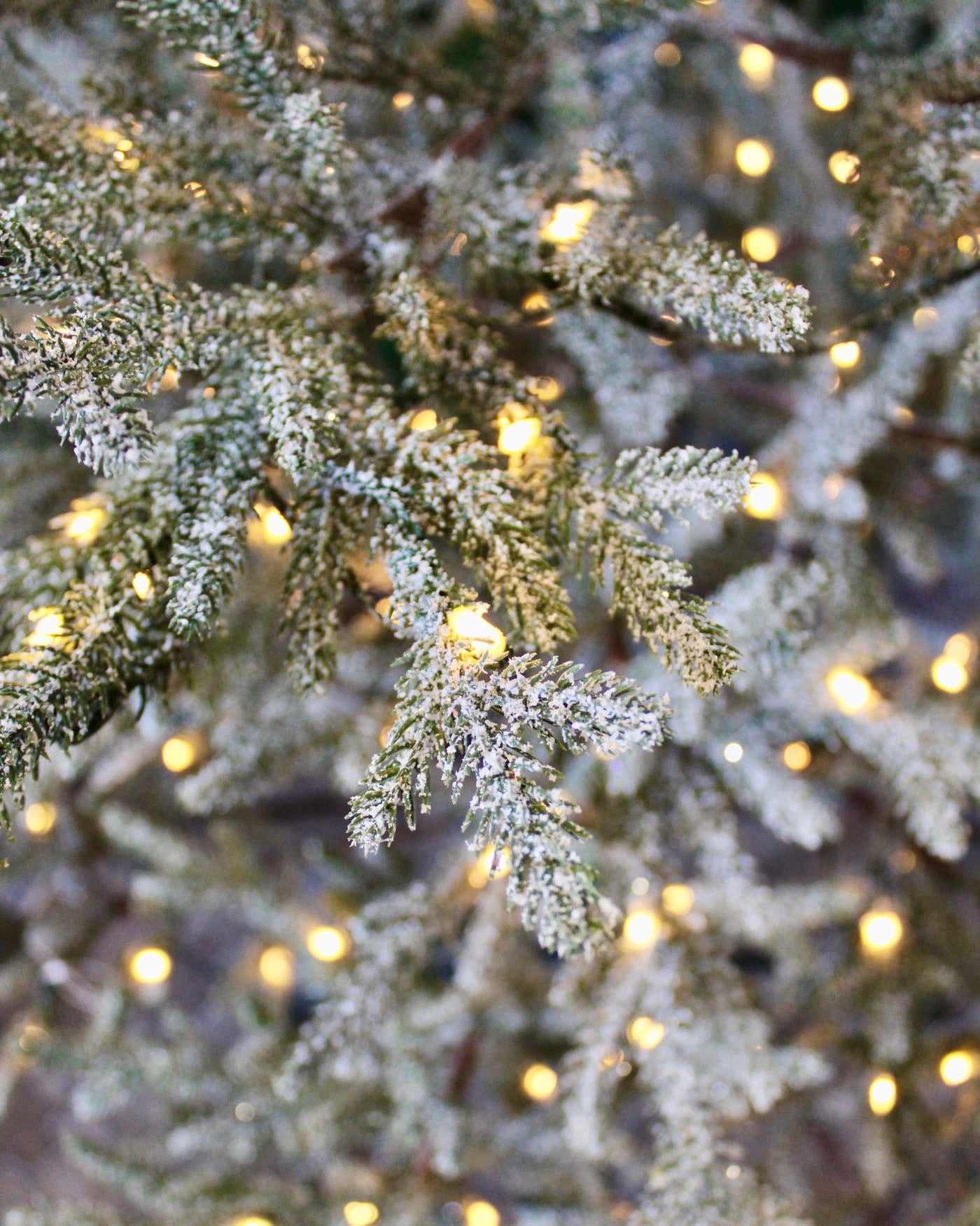 7’ Pre-Lit Frosted Alpine Balsam Fir Tree