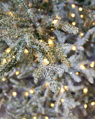 7’ Pre-Lit Frosted Alpine Balsam Fir Tree