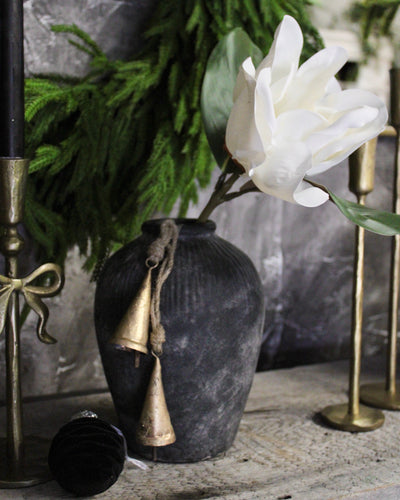 Magnolia Flower Branch