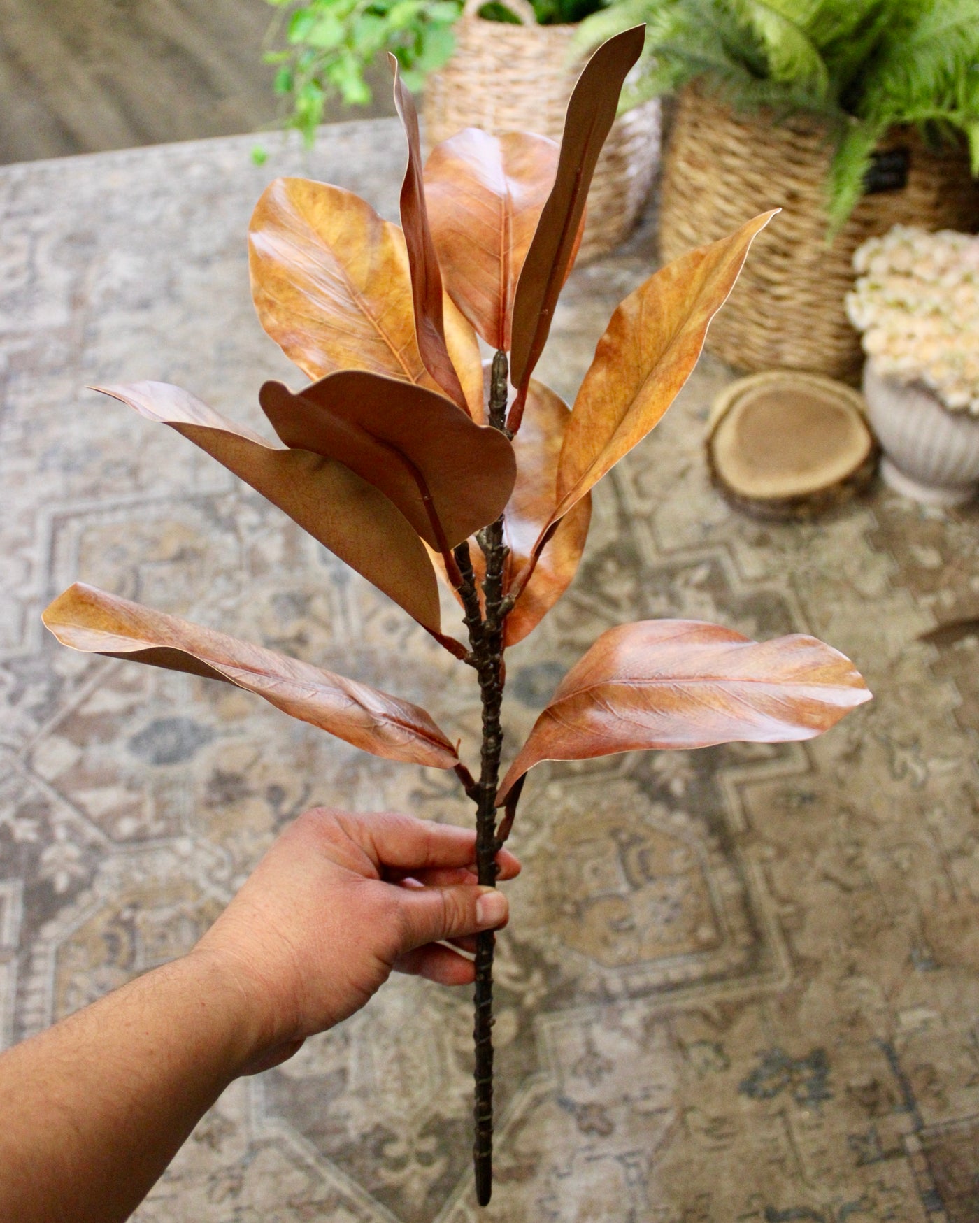Large Brown Magnolia Spray