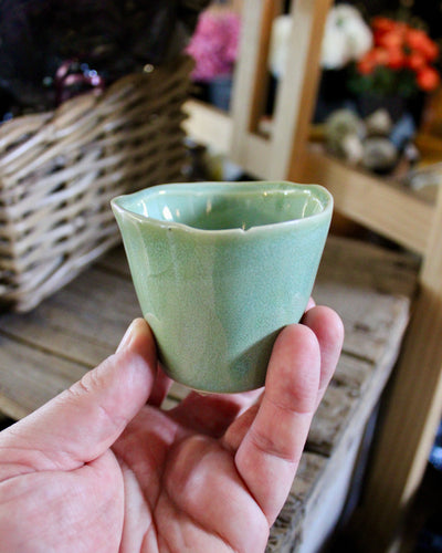 Rosemary Mini Pot