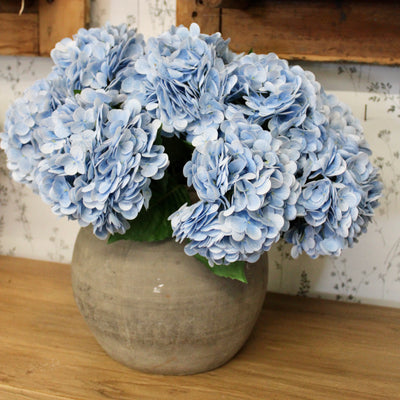 Powder Blue Hydrangea Stem