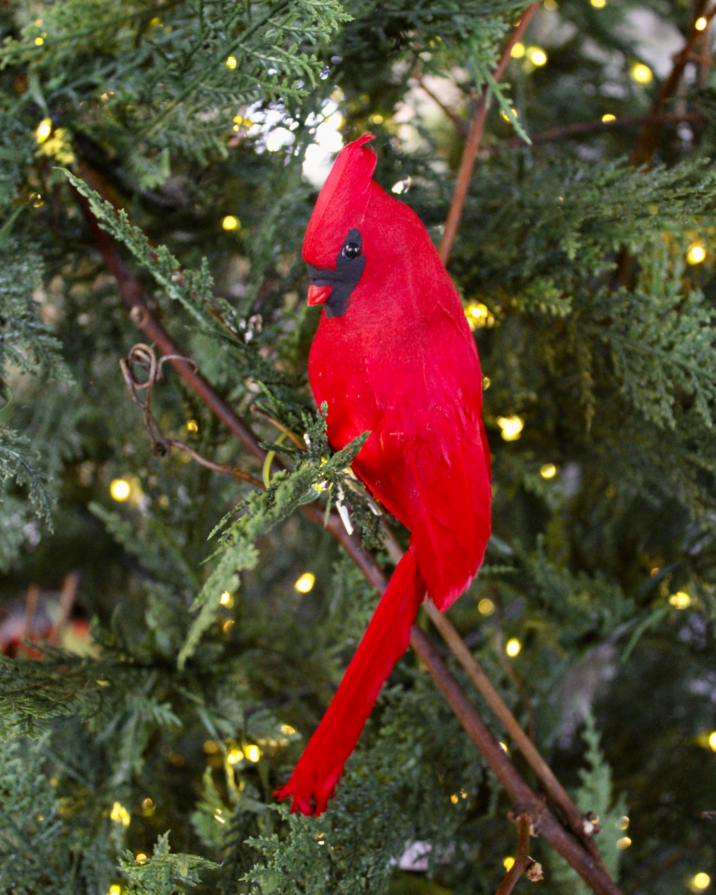 Cardinal Ornaments