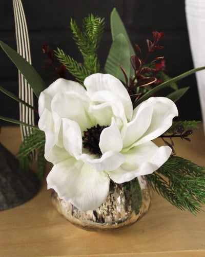 Potted Anemone Mini Arrangement
