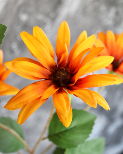 Rudbeckia Stem