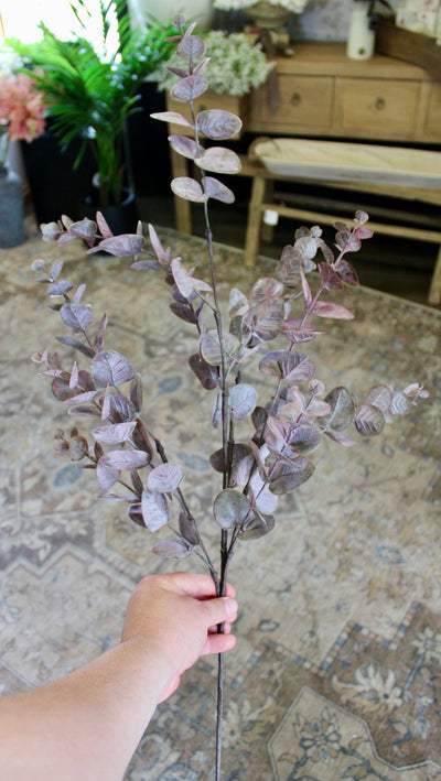 Burgundy Eucalyptus Spray