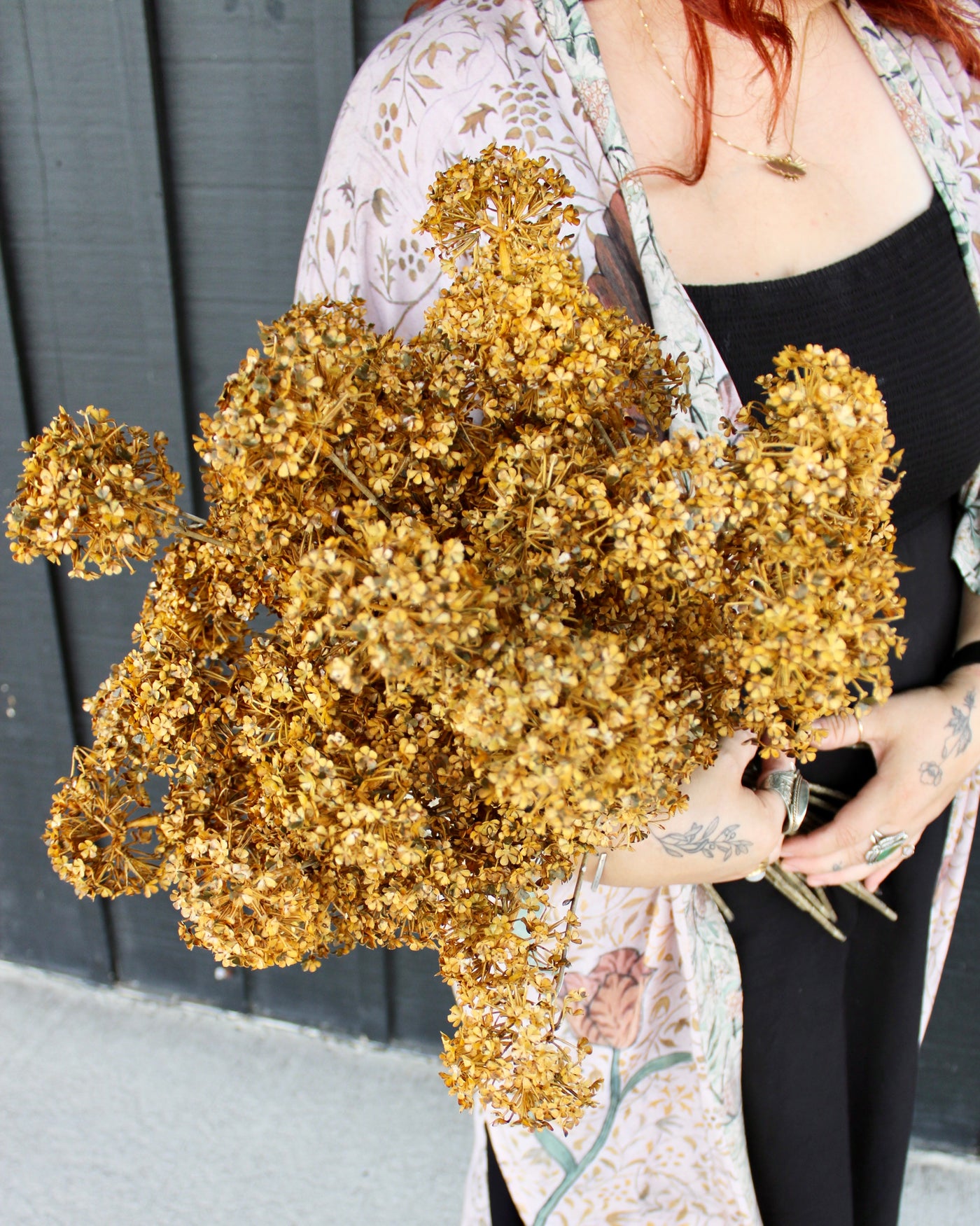 Golden Hydrangea Stem