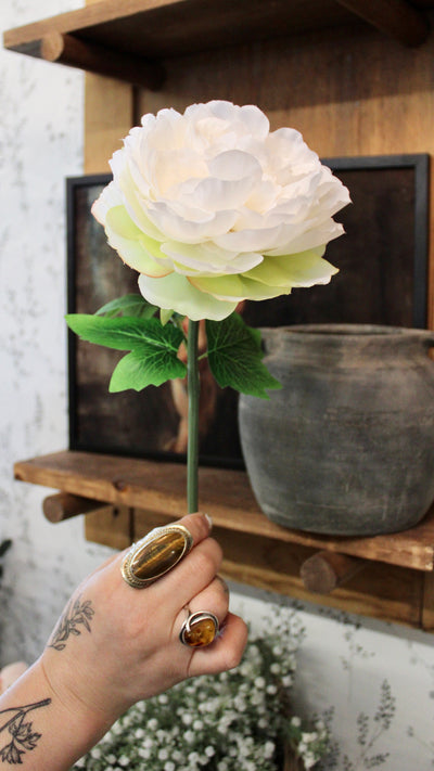 White Peony Stem