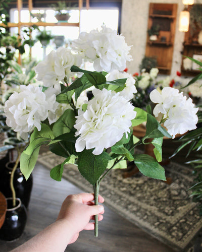 White Hydrangea Bush