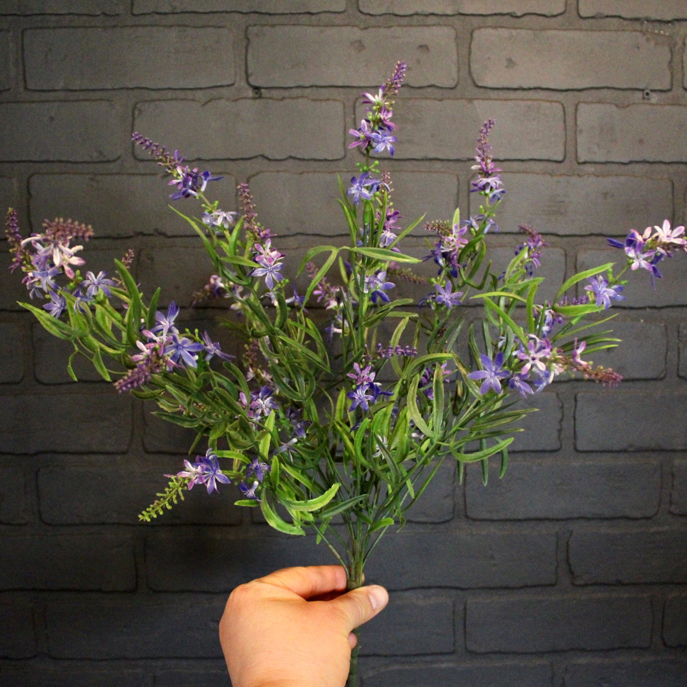 Sweet Veronica Bush Purple
