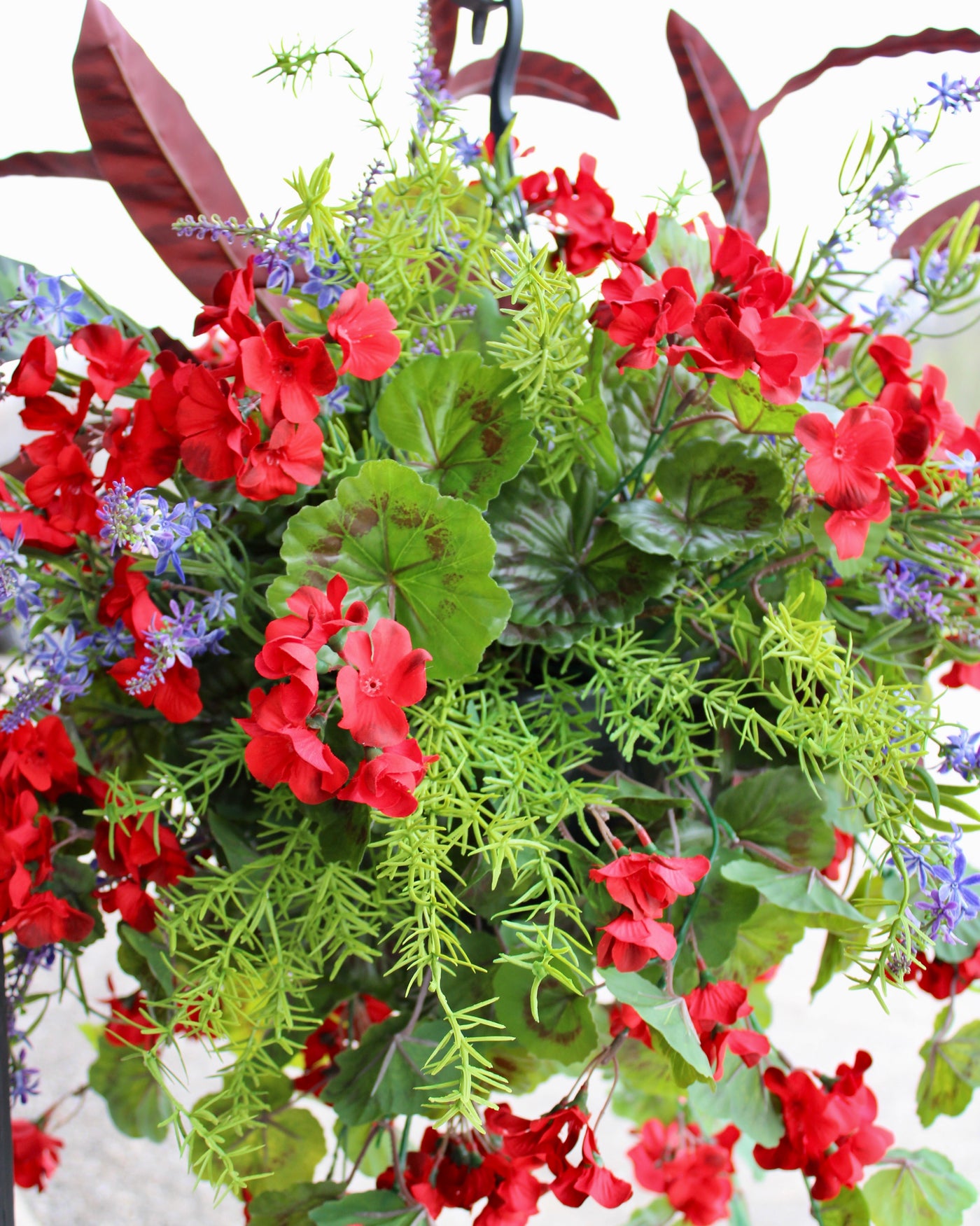 Hanging Basket/Drop-In Red