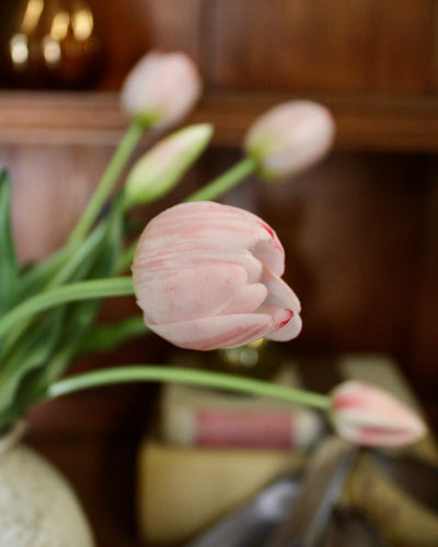 Blush Tulip Bundle (5 Stems)