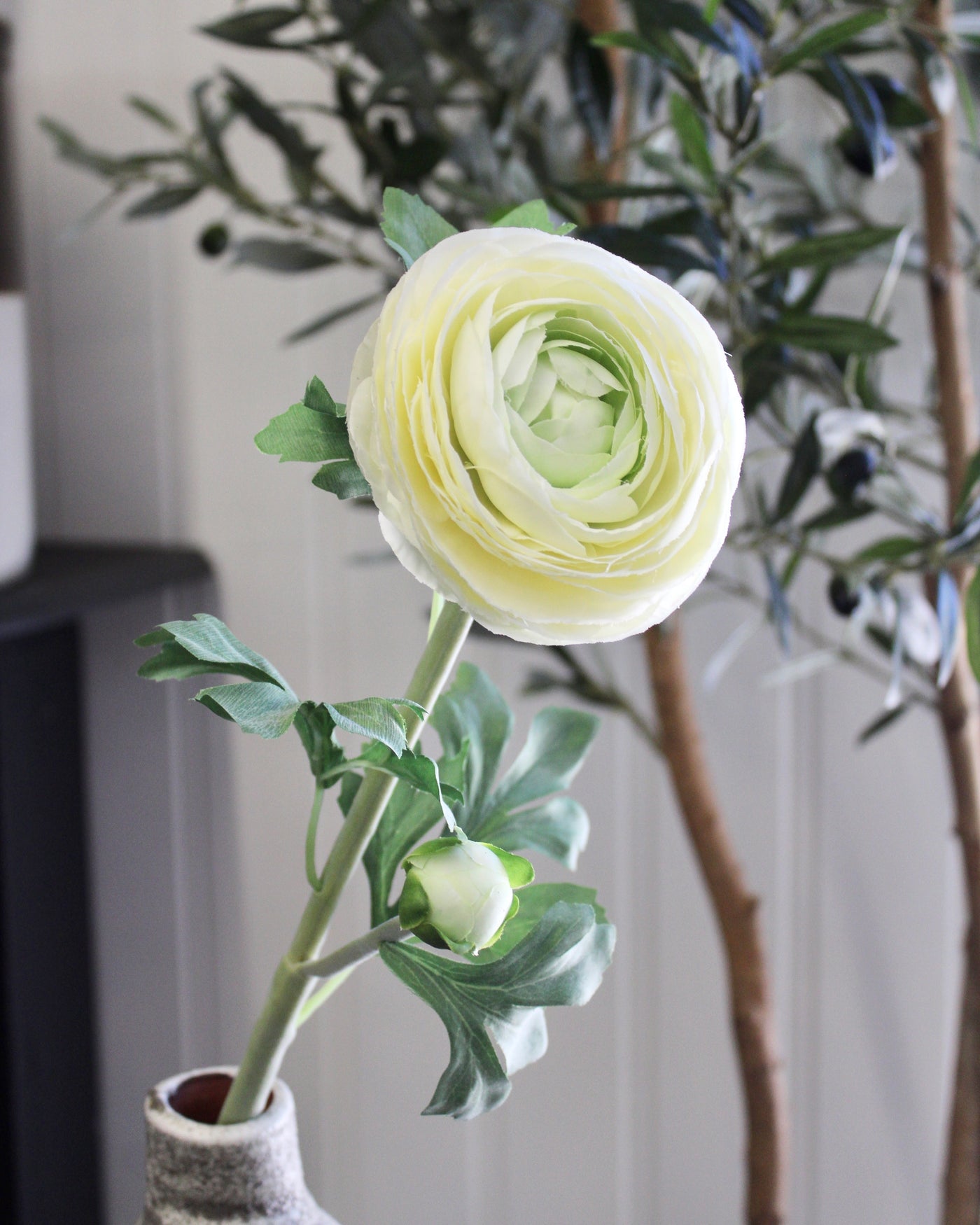 Cream Ranunculus Stem