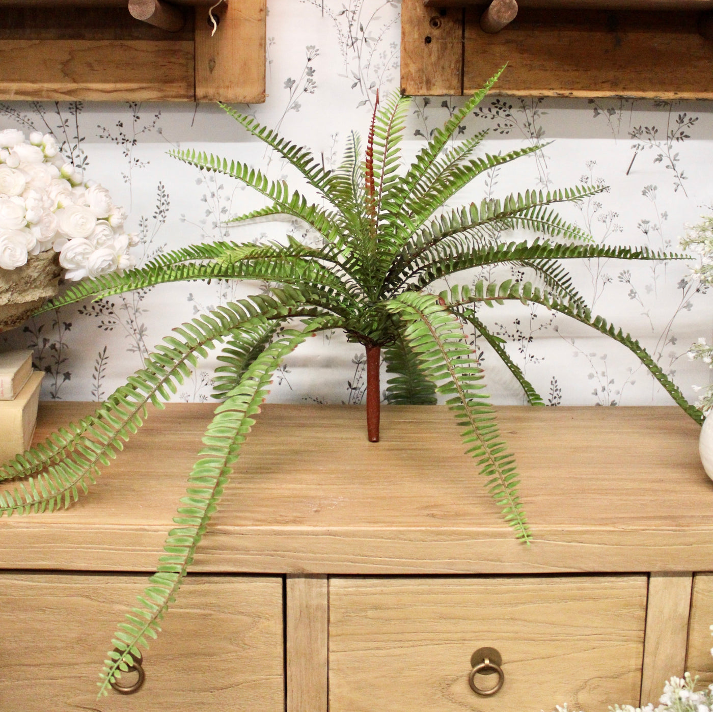 Sword Fern Bush