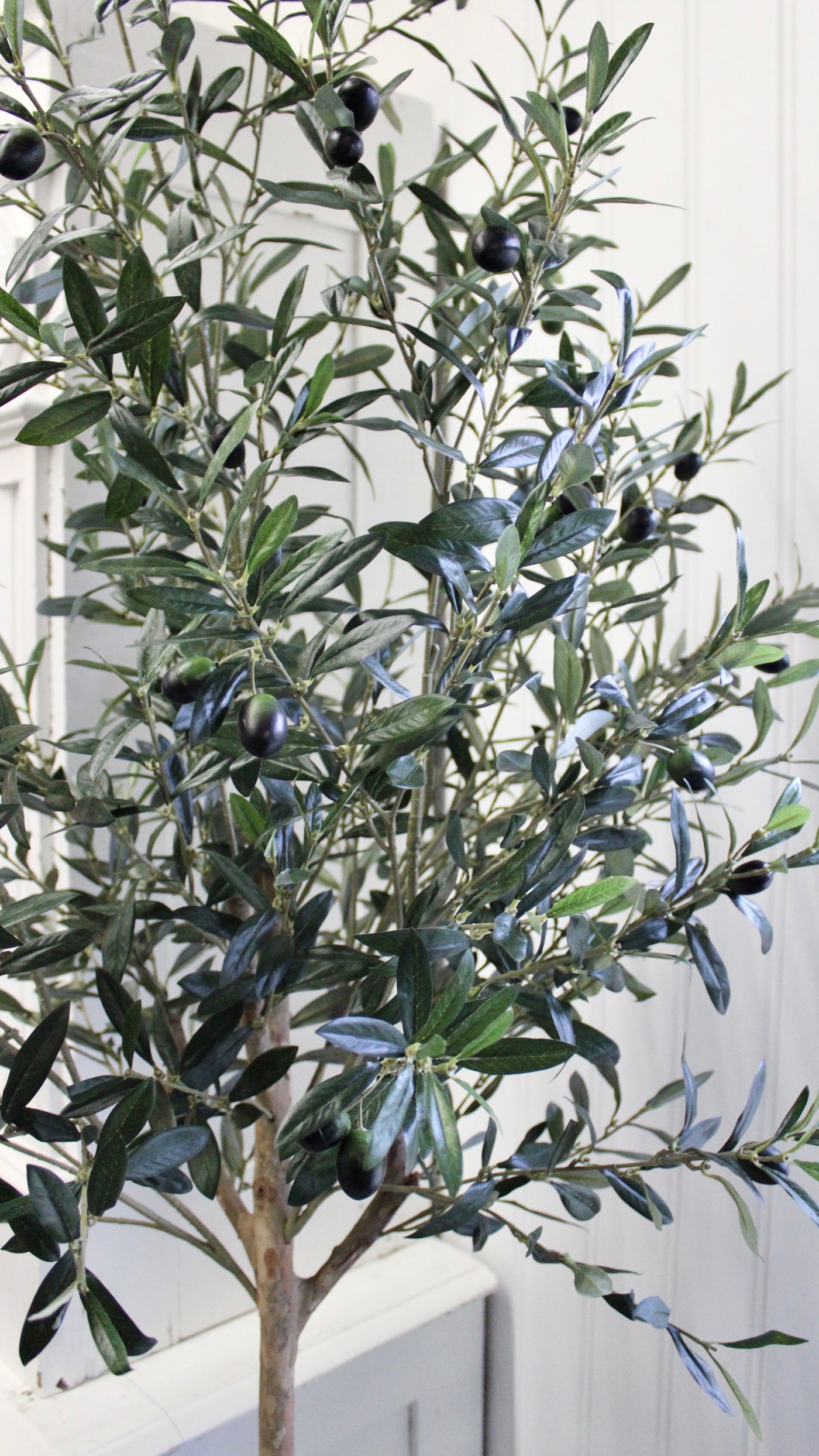 7.5’ Natural Trunk Olive Topiary Tree