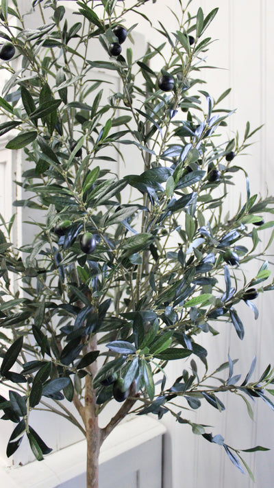 7.5’ Natural Trunk Olive Topiary Tree