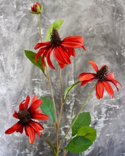 Cone Flower Stem