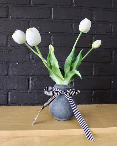 Potted Tulips