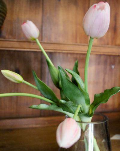 Blush Tulip Bundle (5 Stems)