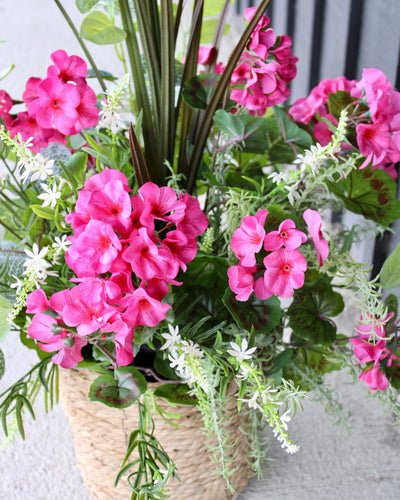 Pink Geranium, Sweet Veronica & Fittonia “Drop-In” Insert