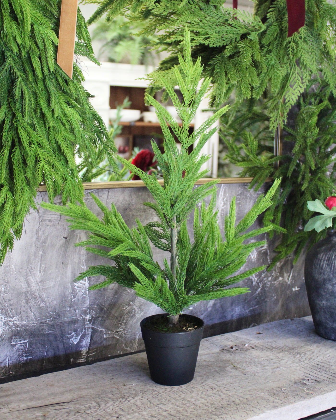 19” Fresh Touch Norfolk Pine Tree