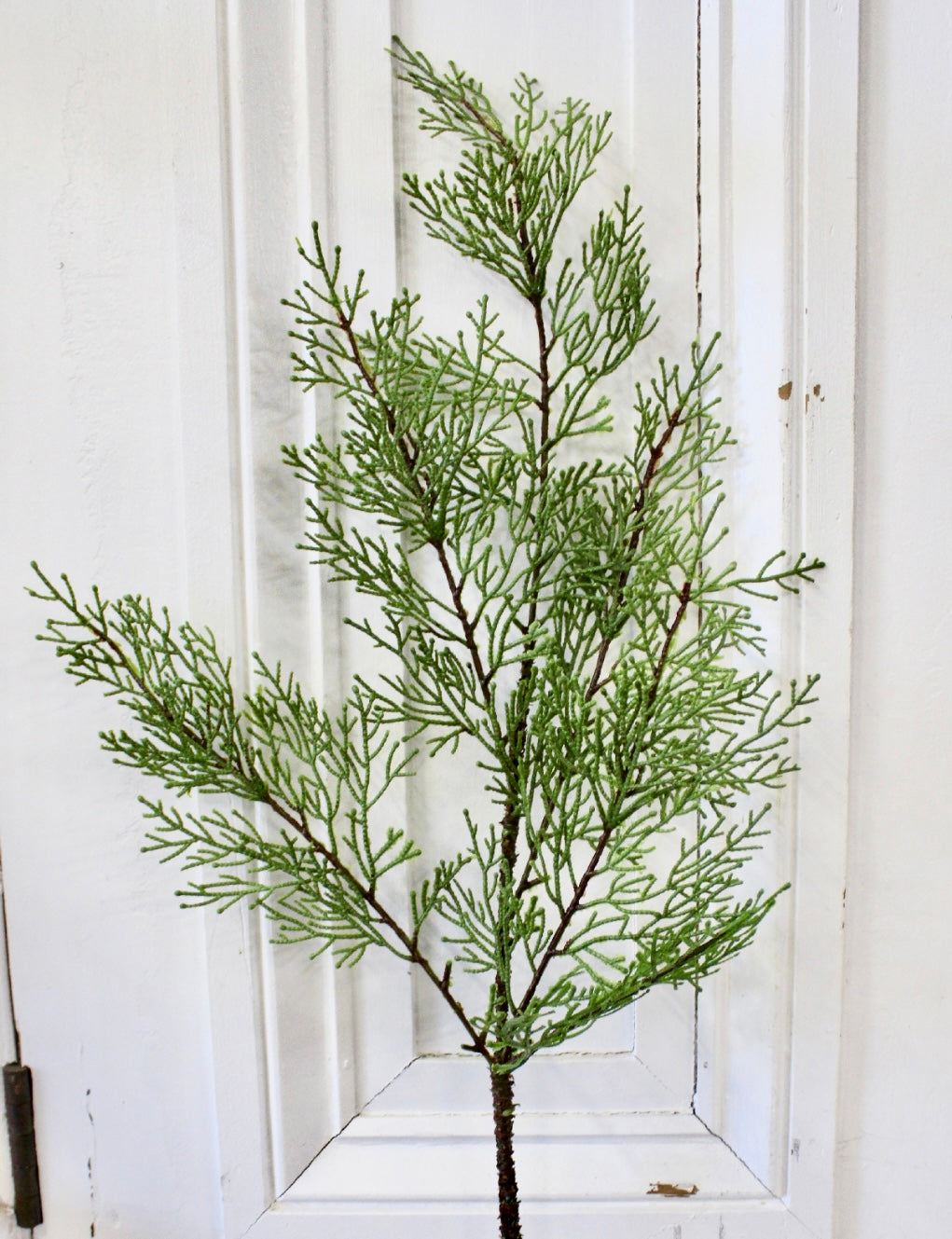 28” Fresh Cut Cedar Spray