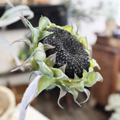 Black Sunflower Stem