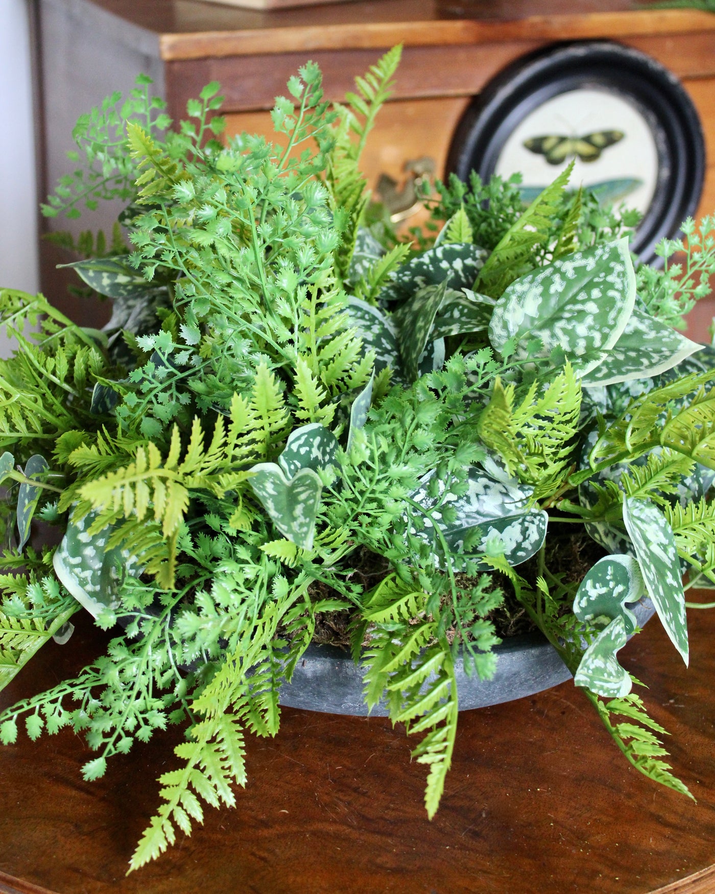 Mixed Fern & Pictus Centrepiece