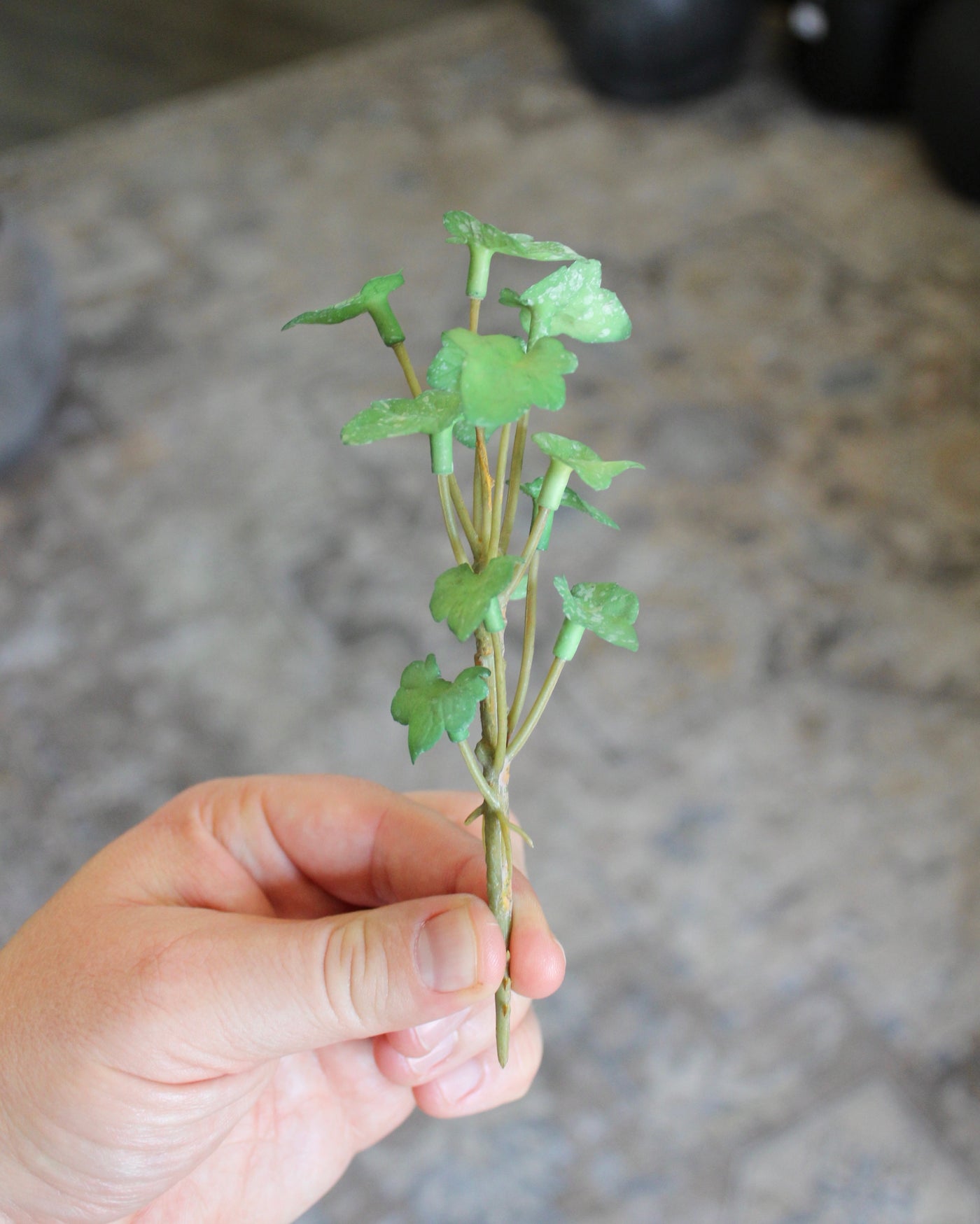 Mini Ivy Sprig