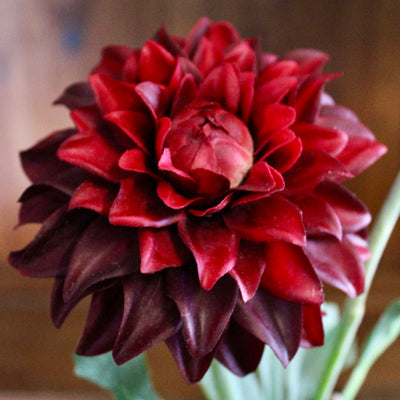 Burgundy Dahlia Spray